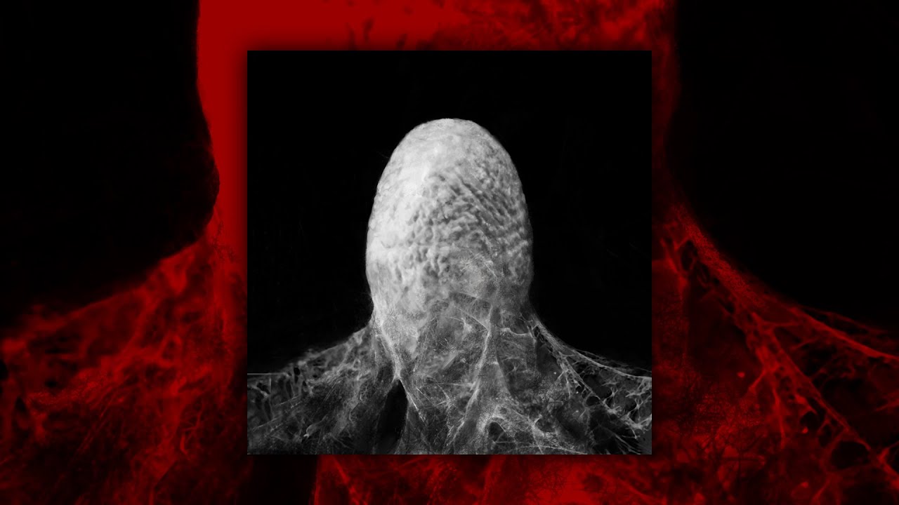 DEEP-EX-SENSE - Кокон (Мёртвый шёлк | 2021)