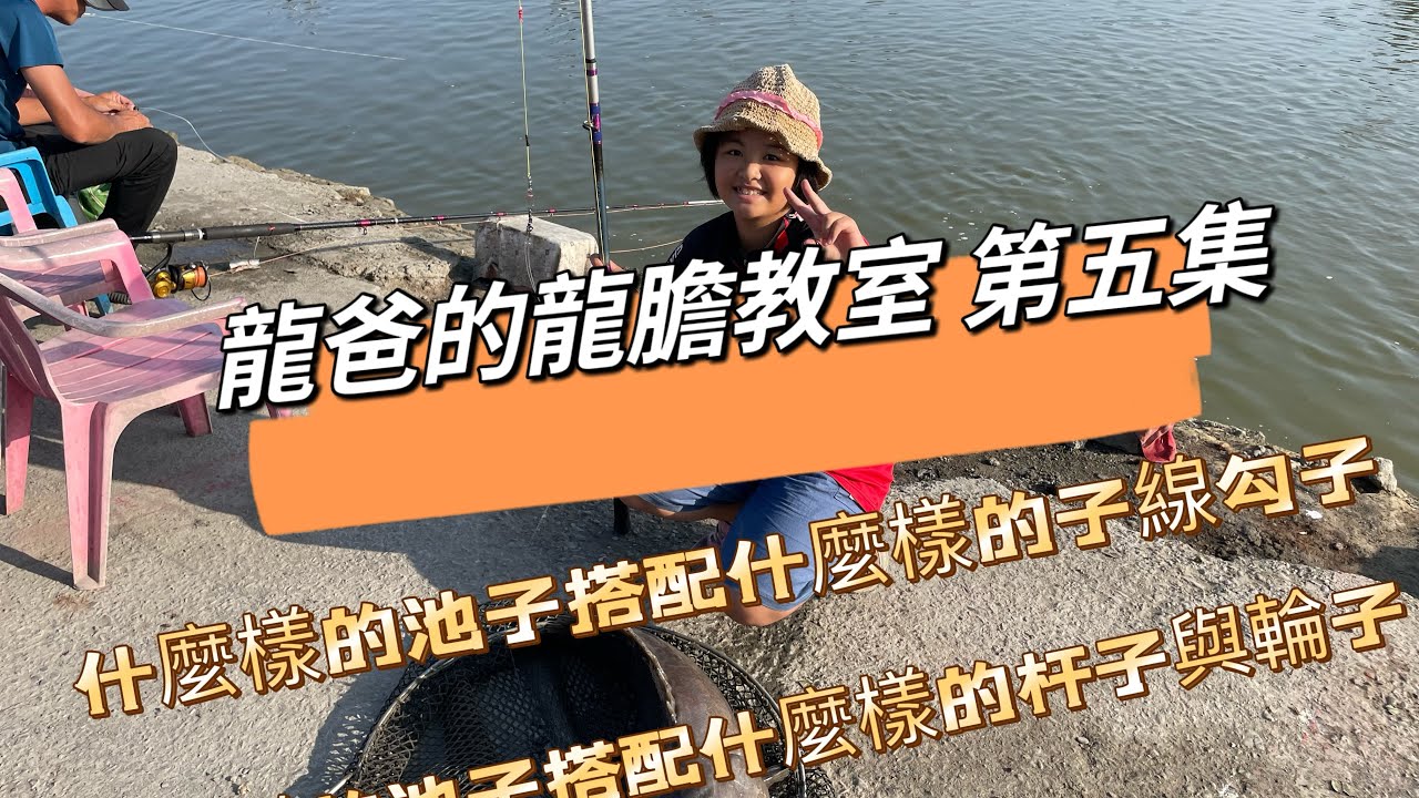 龍爸的龍膽教室🔥第五集🔥什麼樣的池子搭配什麼樣的輪子😁什麼樣的池子搭配什麼樣的子線跟勾子、節目最後奉上去年小妹被高老師調整姿勢的影片😁