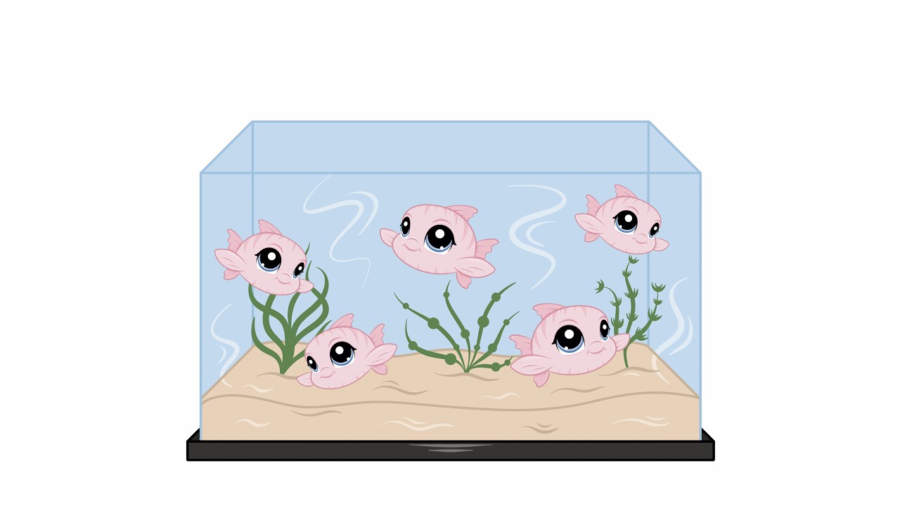 Kupiłam rybki przez internet 🐟