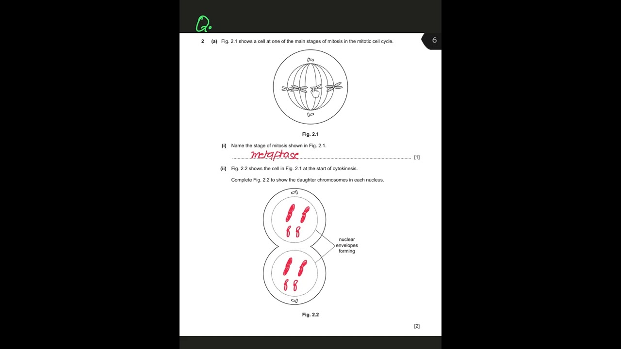 9700 AS Biology- Feb/March 2022-Paper 22