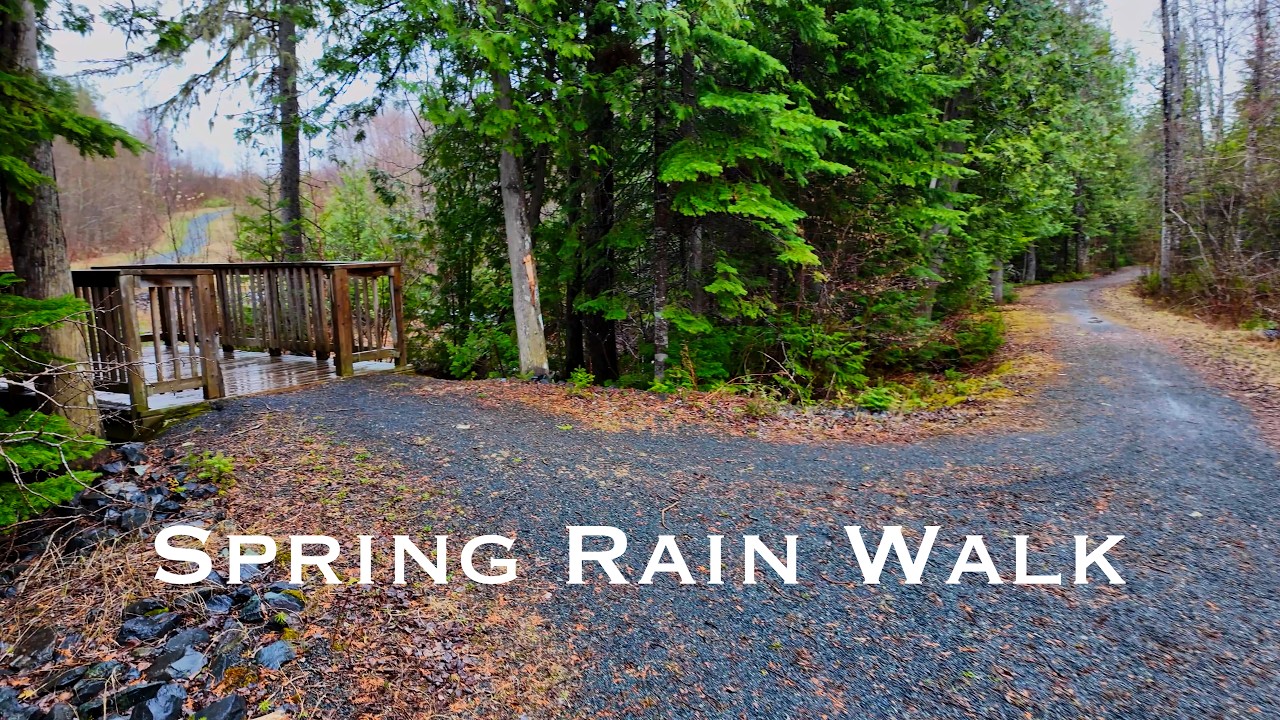 Spring Rain Walk In Local Trail | Rain And Stream Sounds | 4K Ambience