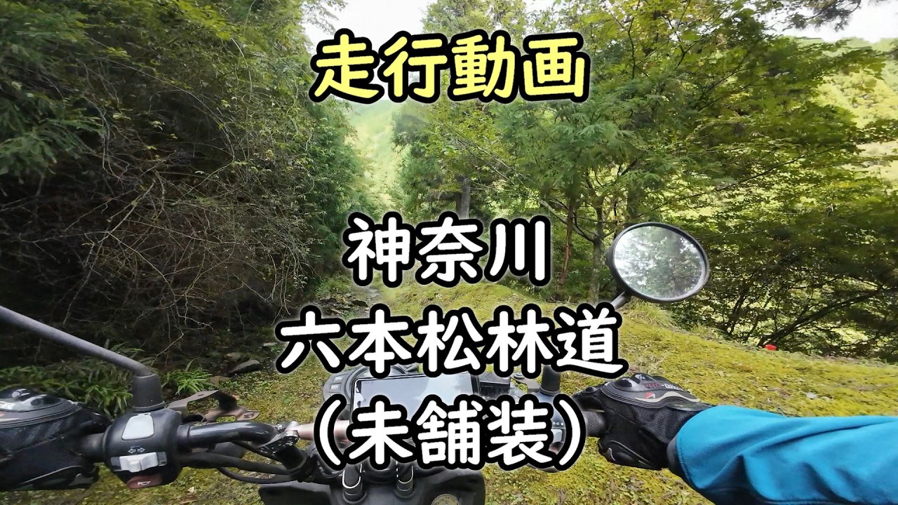 【走行動画】神奈川 「六本松林道」を走行【BW'S125X】