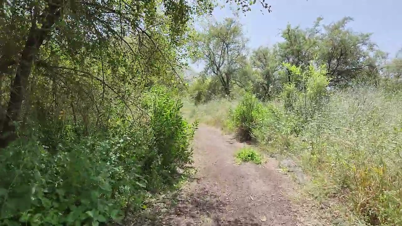 kfar nahum - Sea of galilee hike