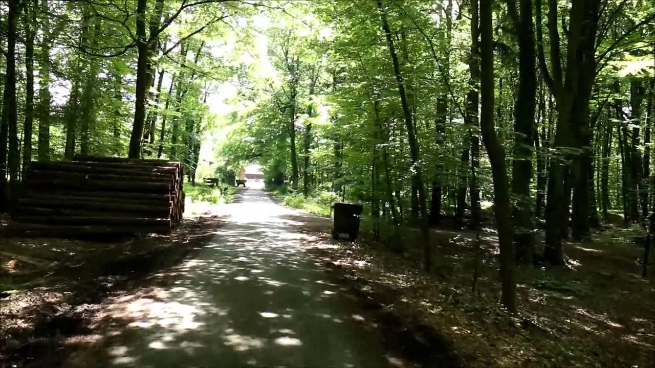 Kamerafahrt durch Rutenmühle