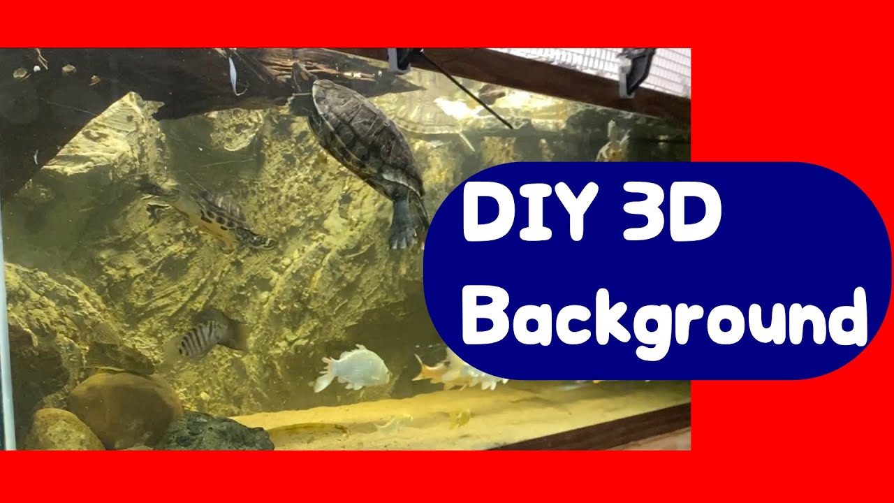 Aquarium DIY 3D Background (Cement Fish Tank Background)
