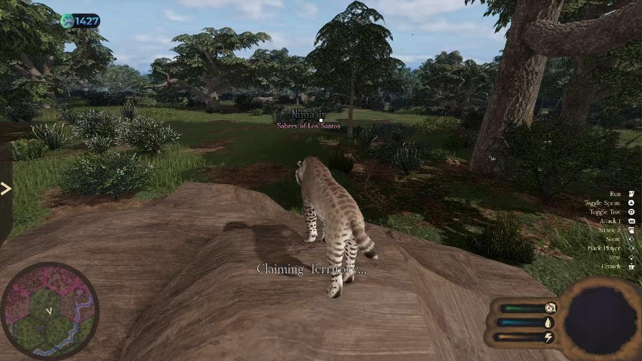 Smiladon get hunted down by dire wolves