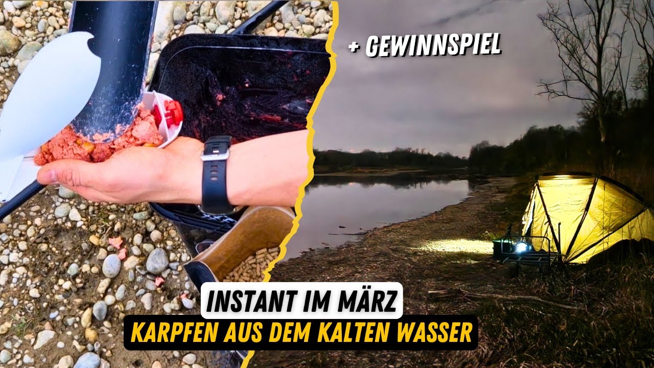 Karpfenangeln im Holz I Instant Session im März bei kaltem Wasser I mit **Gewinnspiel**