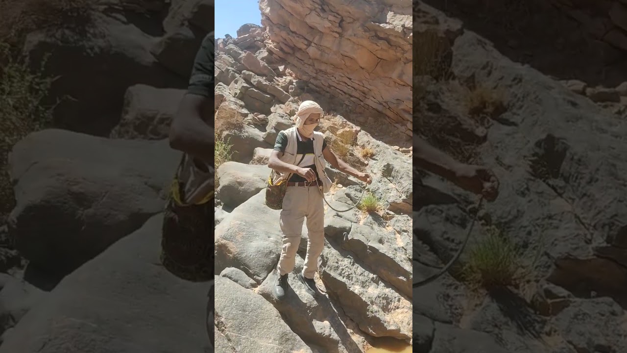 ثعبان .الزريق.جبل بشار