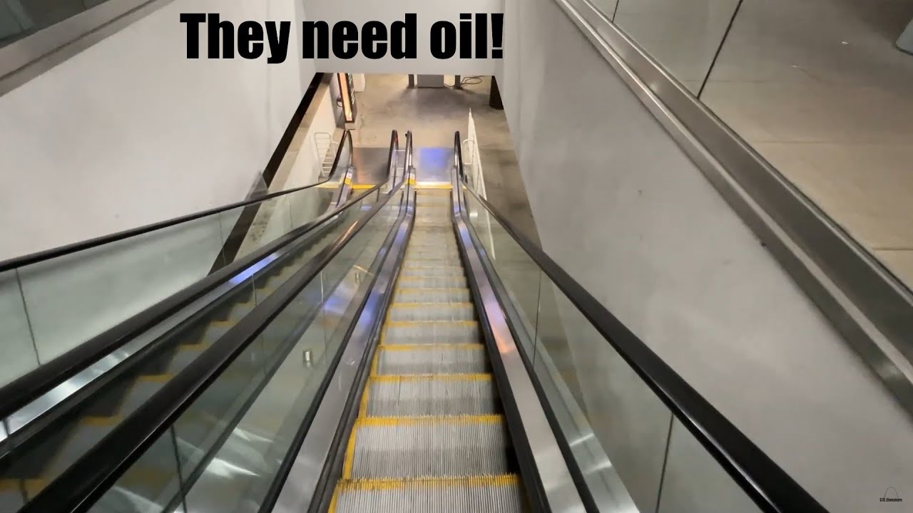Insanely Squeaky Escalators at the Oakbrook Center