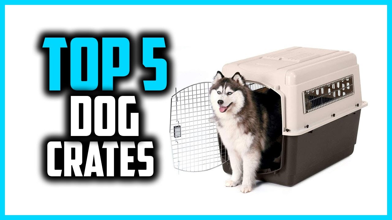 ✅Top 5 Best Dog Crates in Every Type in 2026