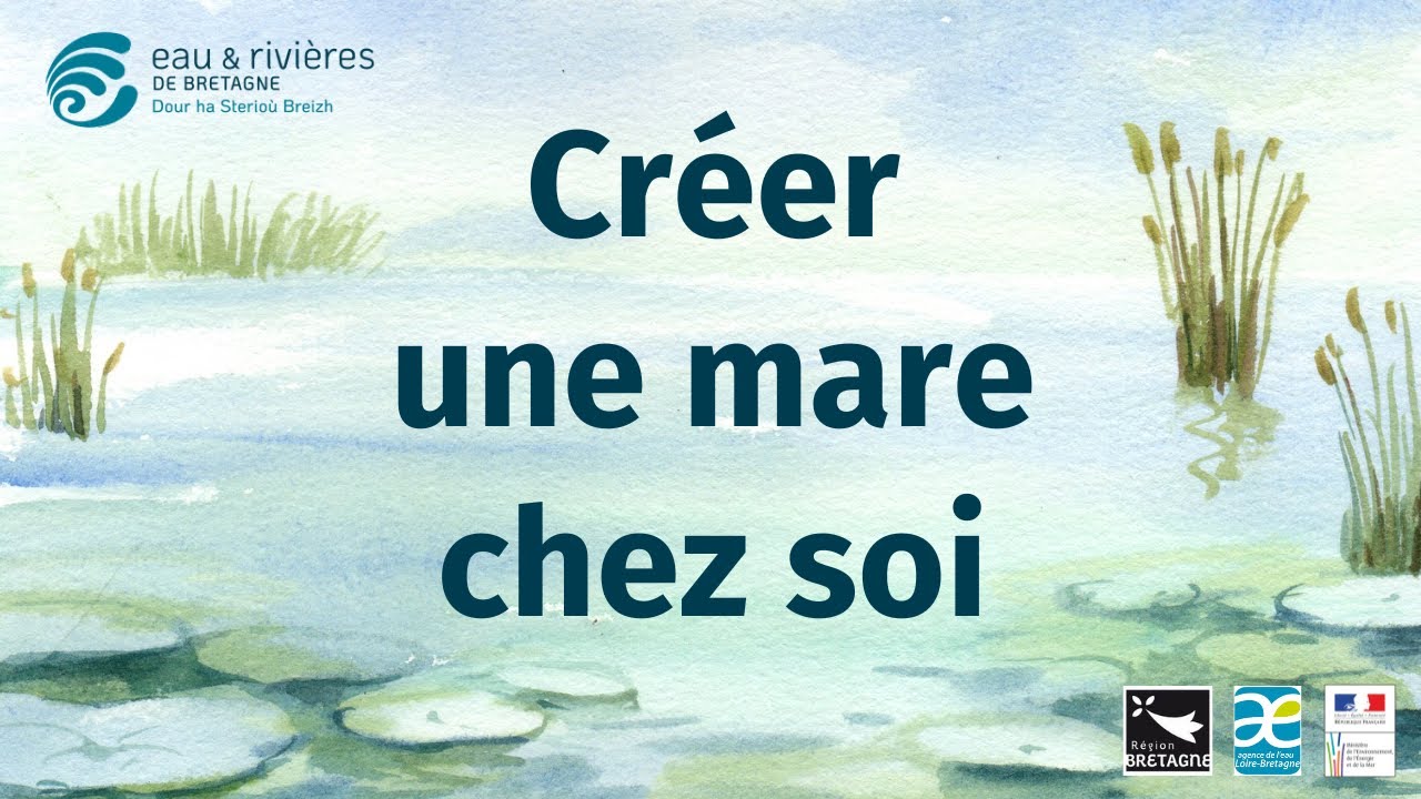 Créer une mare chez soi