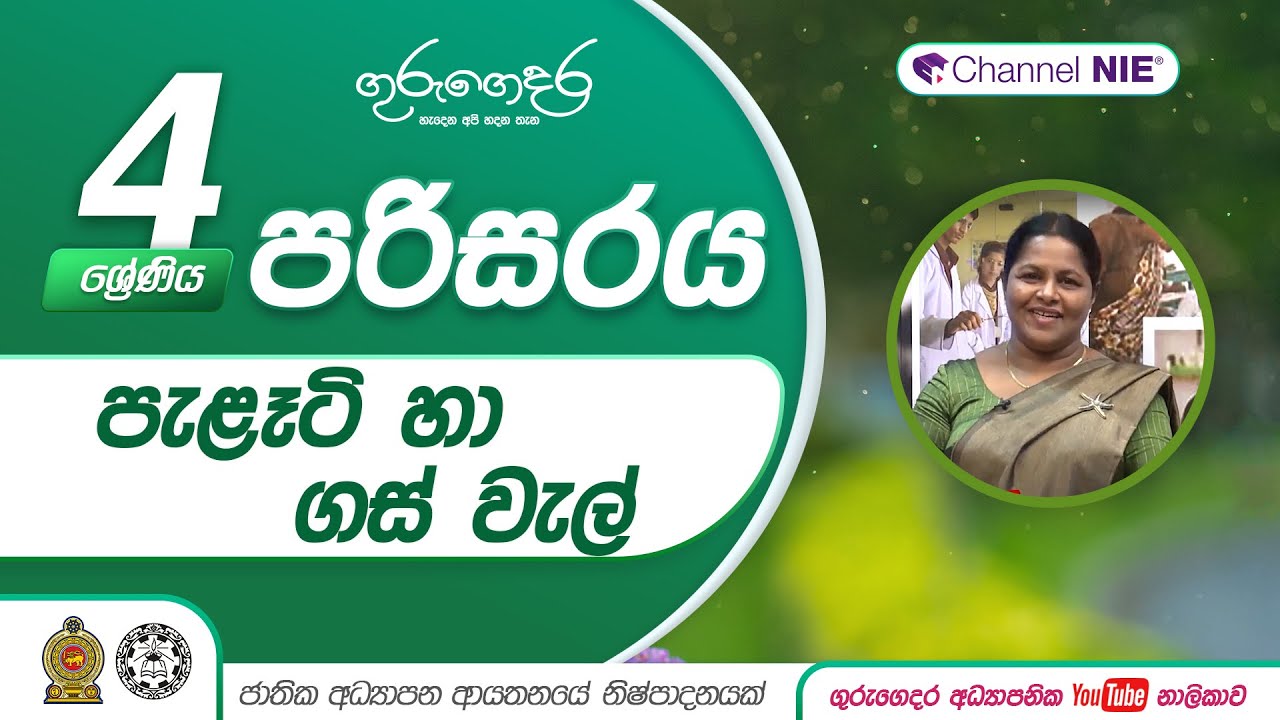 පැළෑටි හා ගස් වැල්  -  04 ශ්‍රේණිය - (පරිසරය)