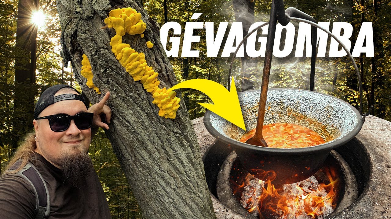Ezért nem szabad feladni! GÉVÁZZUNK! 🍄🔥