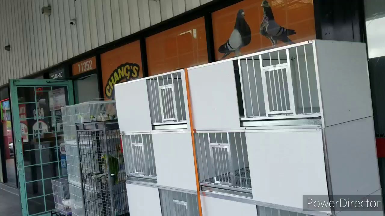 Jaulas para palomas