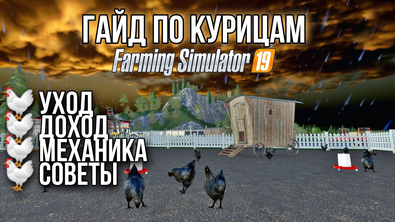 Гайд по курицам: уход, доход, механика, советы | Farming Simulator 19