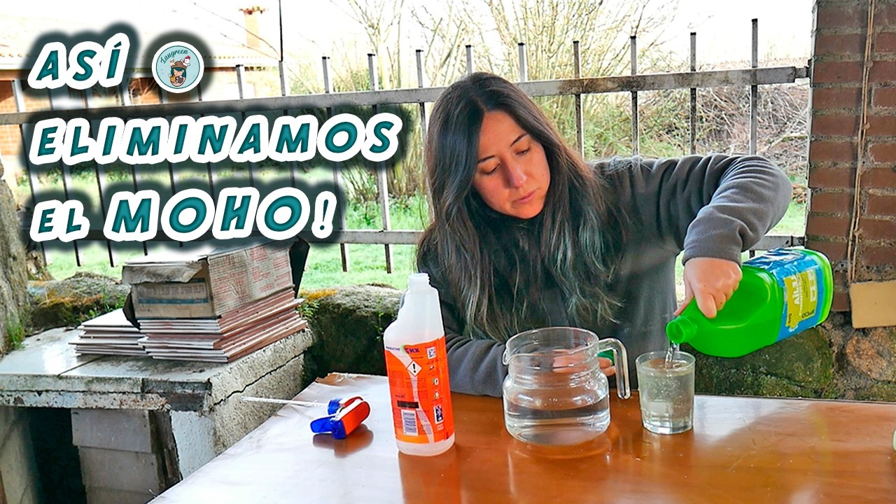 Solucionamos el PROBLEMA del MOHO en el interior de la CASA de la NUEVA FINCA 🧴