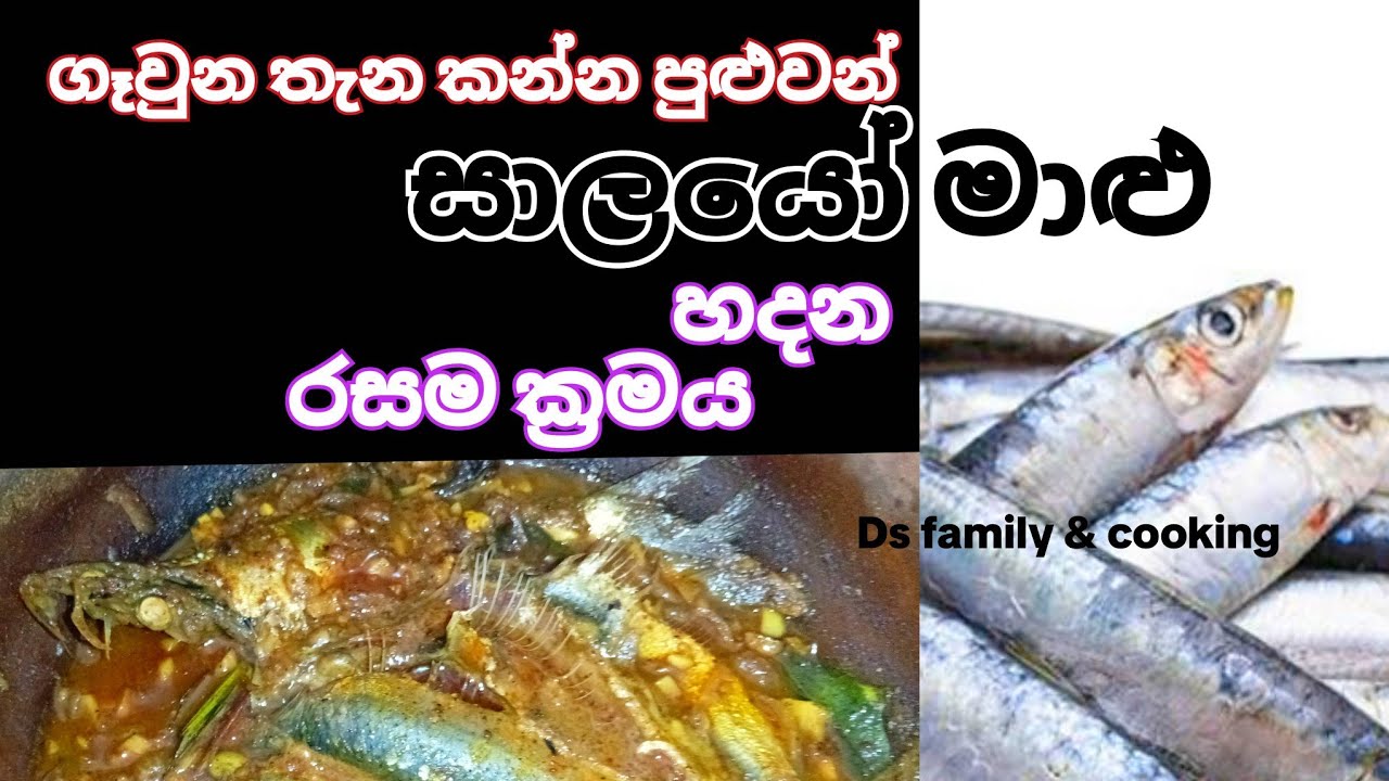 ගෑවුන තැන කන්න පුළුවන් සාලයෝ මාළු හදන රසම ක්‍රමය | salaya fish curry recipe | salaya malu mirisata