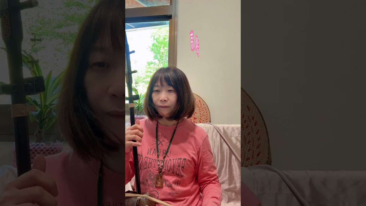 二胡涼涼（三生三世十里桃花片尾曲）詞：劉暢 曲：譚鏇1150317