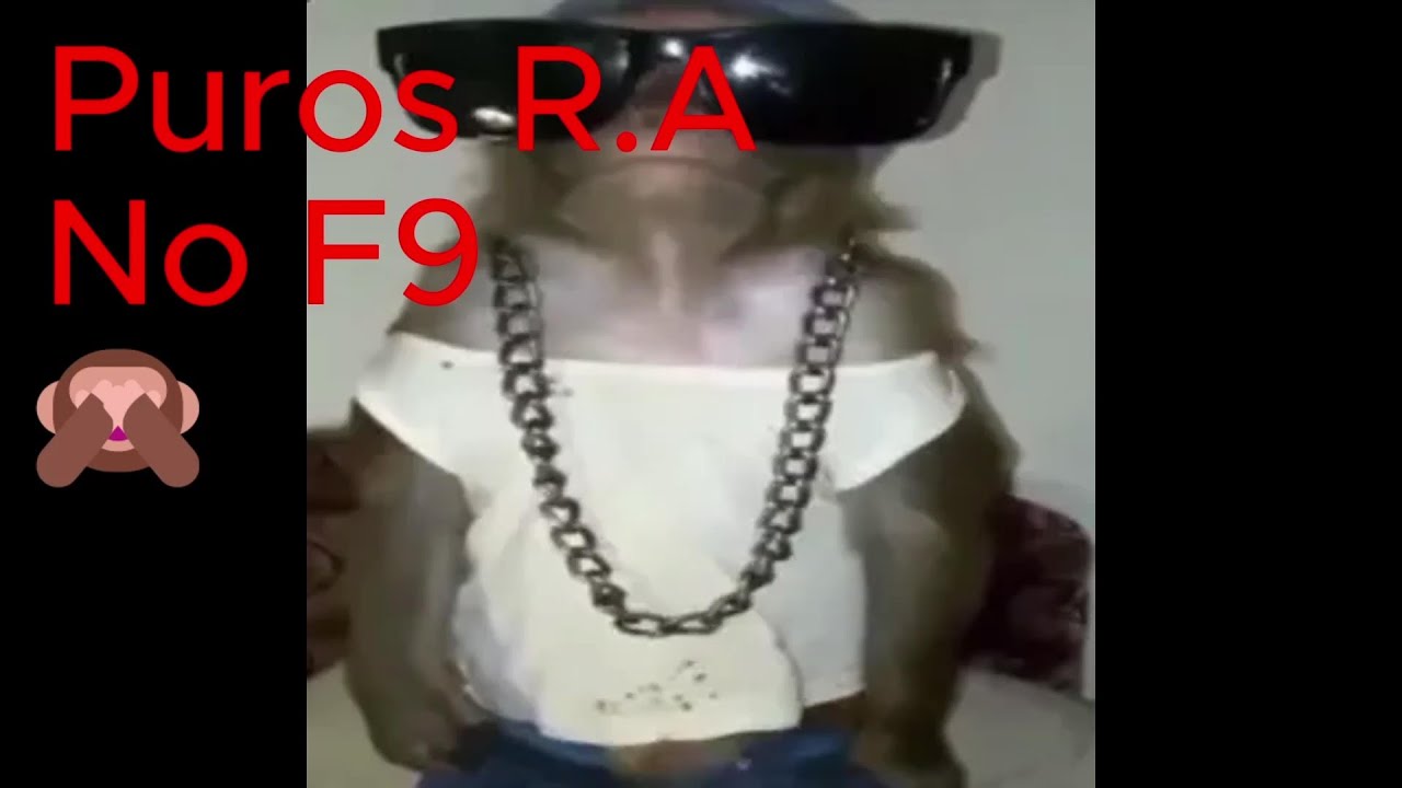 [GTA:HUB] Pura R.A
