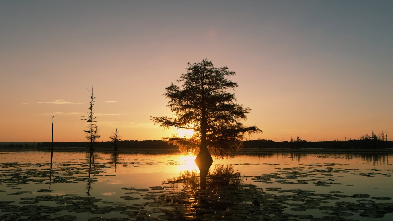 A Century of Conservation