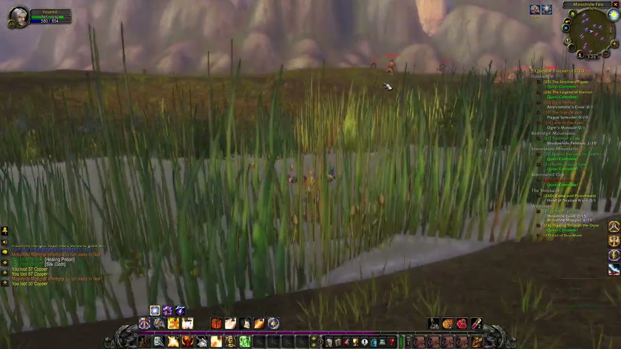 WoW anniversary gameplay