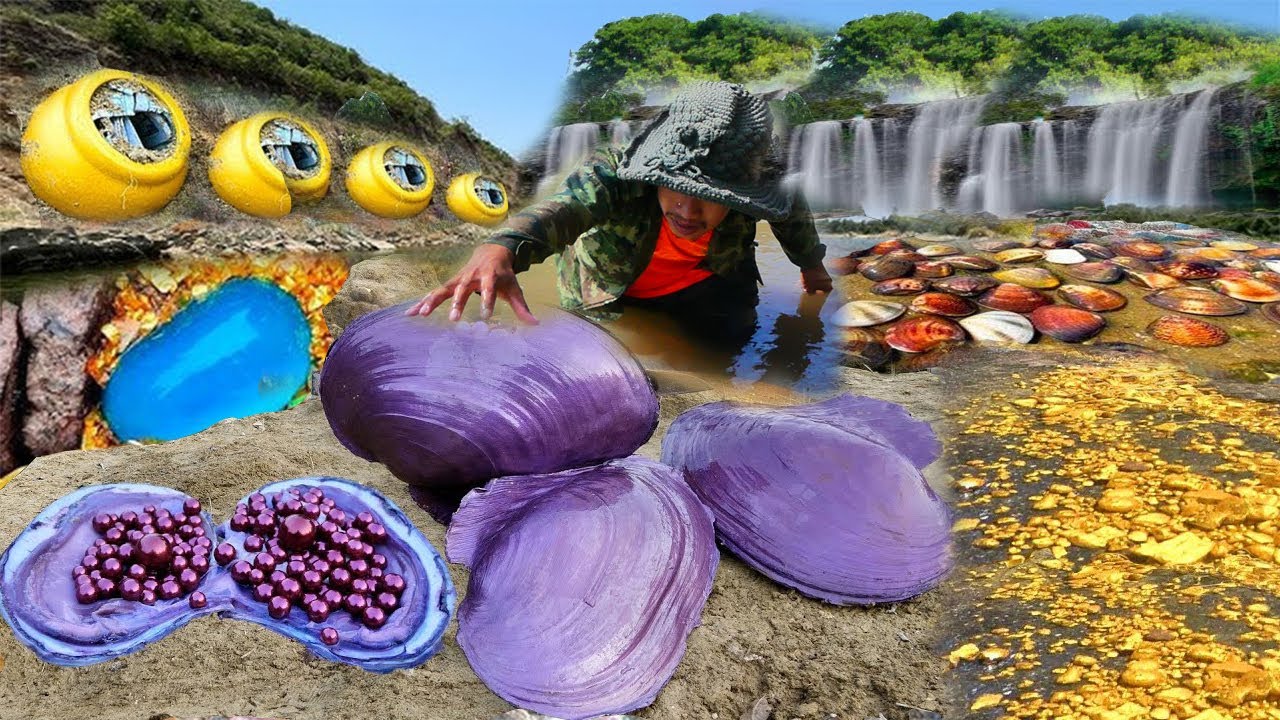 Purple finds 169-year-old purple crab in open forest and hides with bright pearls