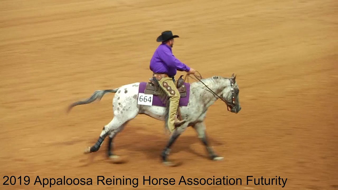 2019 Appaloosa Reining Horse Association Futurity