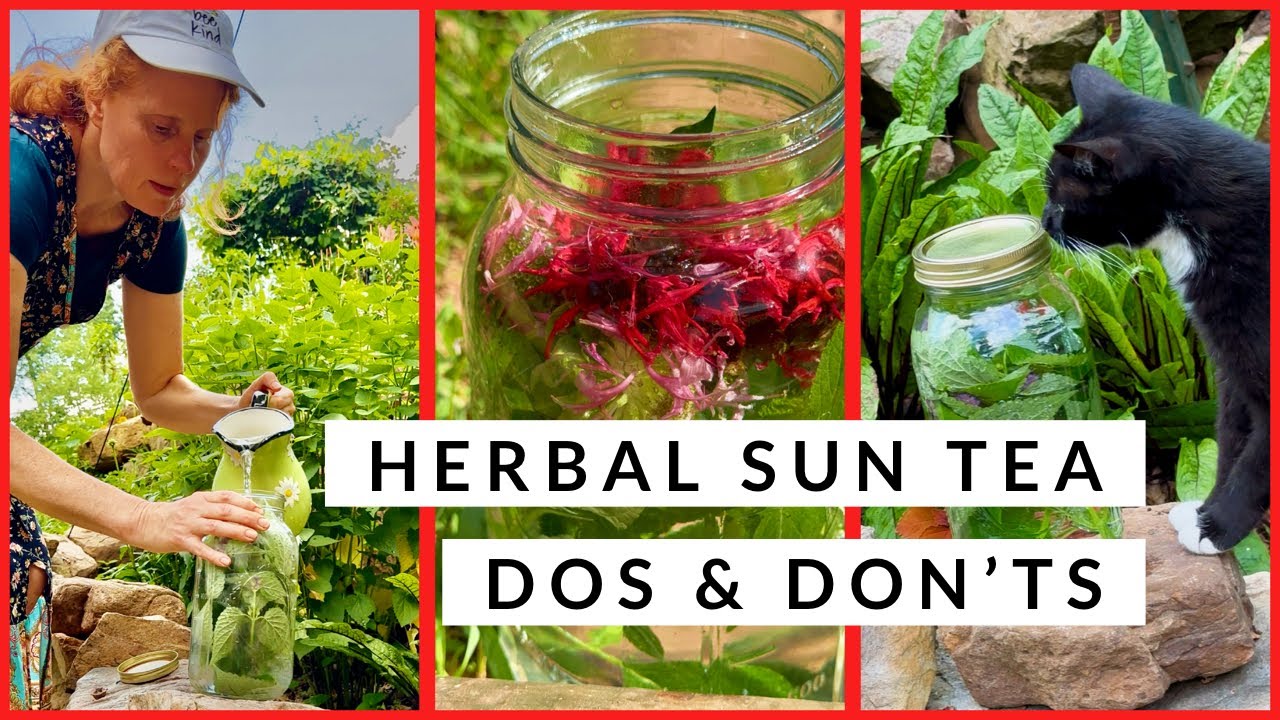 How to Safely Make Herbal Sun Tea