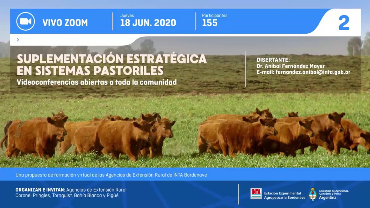 Suplementación estratégica en sistemas pastoriles - Videoconferencia ZOOM