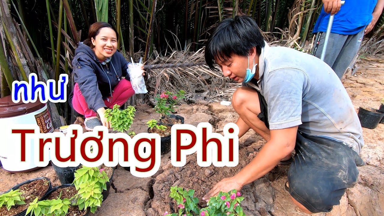 Lần Đầu Thấy Bình Nóng Tánh - Hương Vị Đồng Quê - Bến Tre - Miền Tây