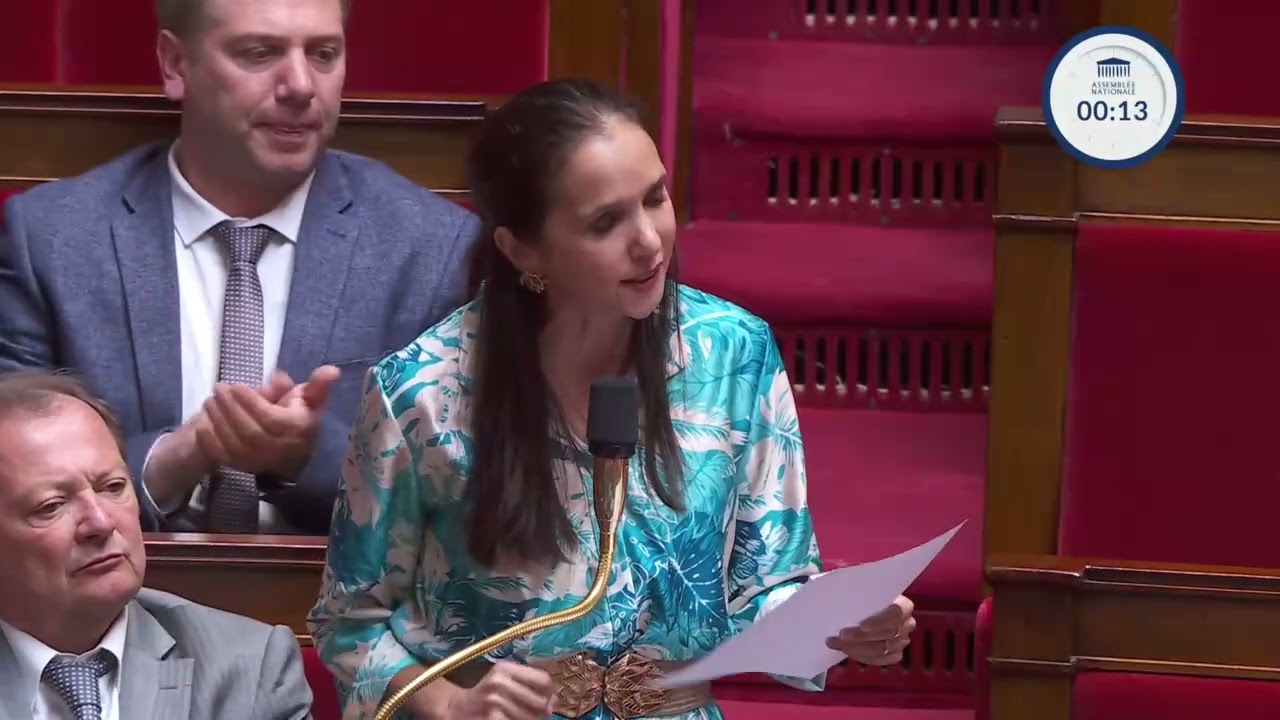 Epidémie de chikungunya à la Réunion: 