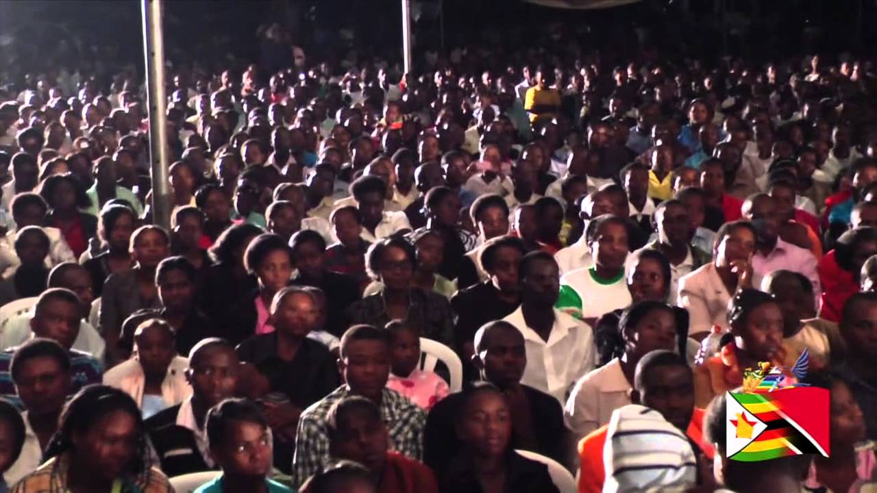 TEA- Zimbabwe Specials- Are you looking for him
