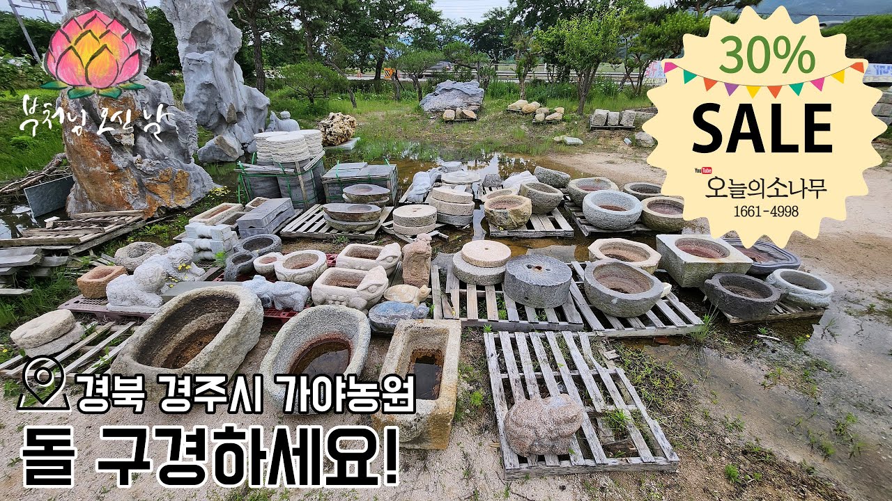 (가격공개) #조경석 #자연석 #간판석 #석재 #조경인테리어자재 #경주가야농원 ㅣ오늘의소나무 1661-4998
