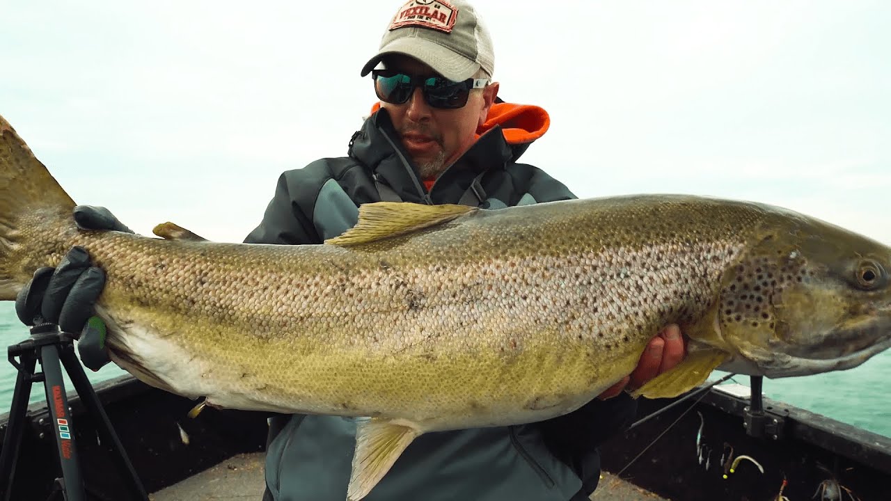 Using Livescope to Hunt Monster Brown Trout (HUGE Fish Caught!)