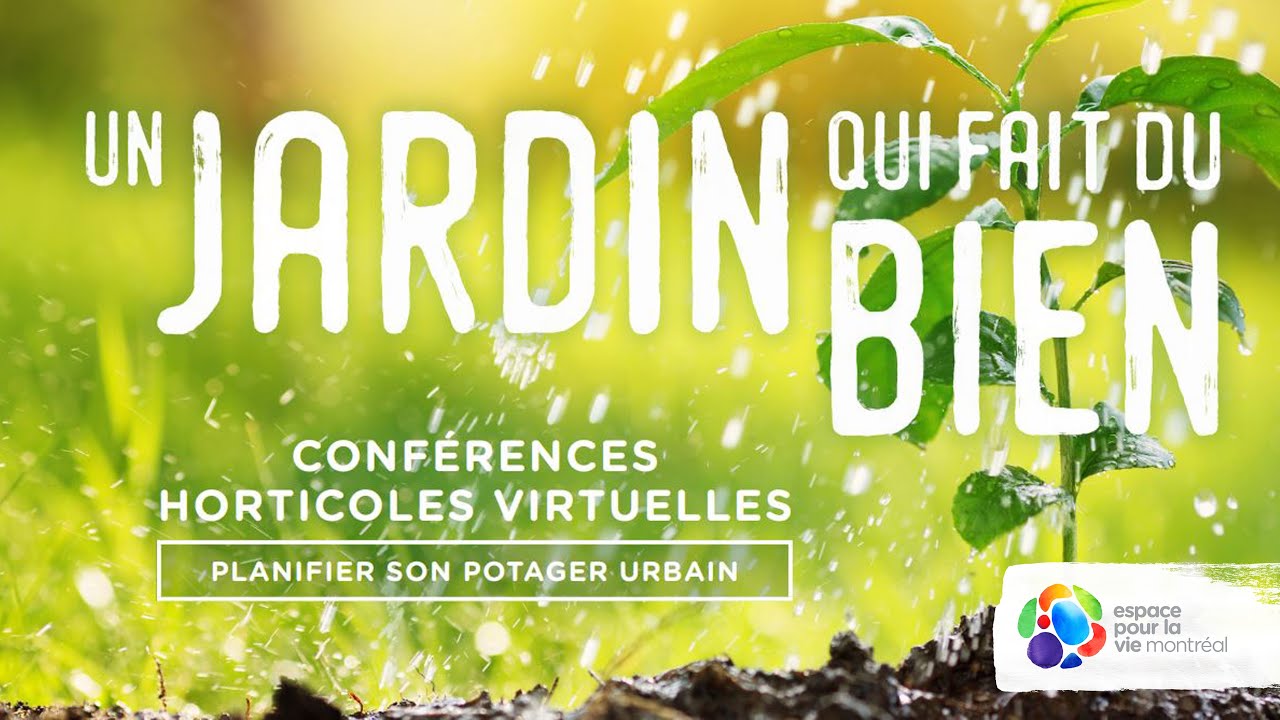 Planifier son potager urbain