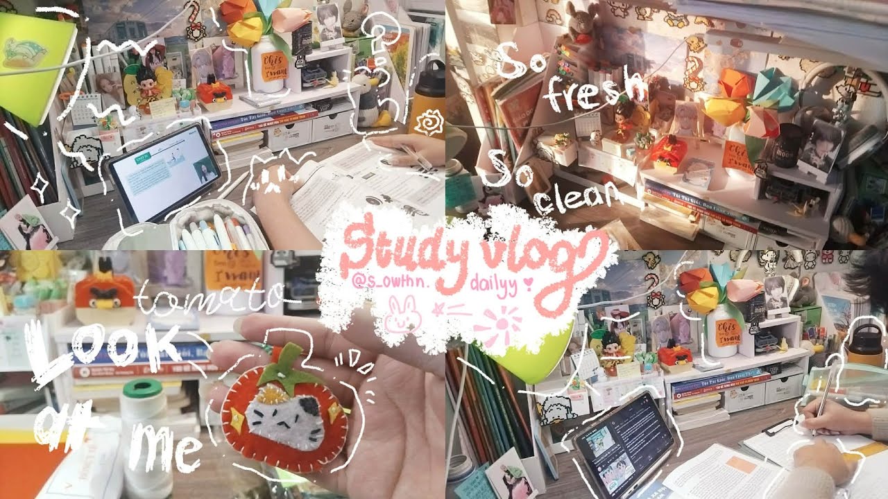 | Study motivation ˚₊·—̳͟͞͞♡₊˚⊹ᰔ| Một ngày của mình sẽ có những gì, nhớ ở lại xem nhaaaa.