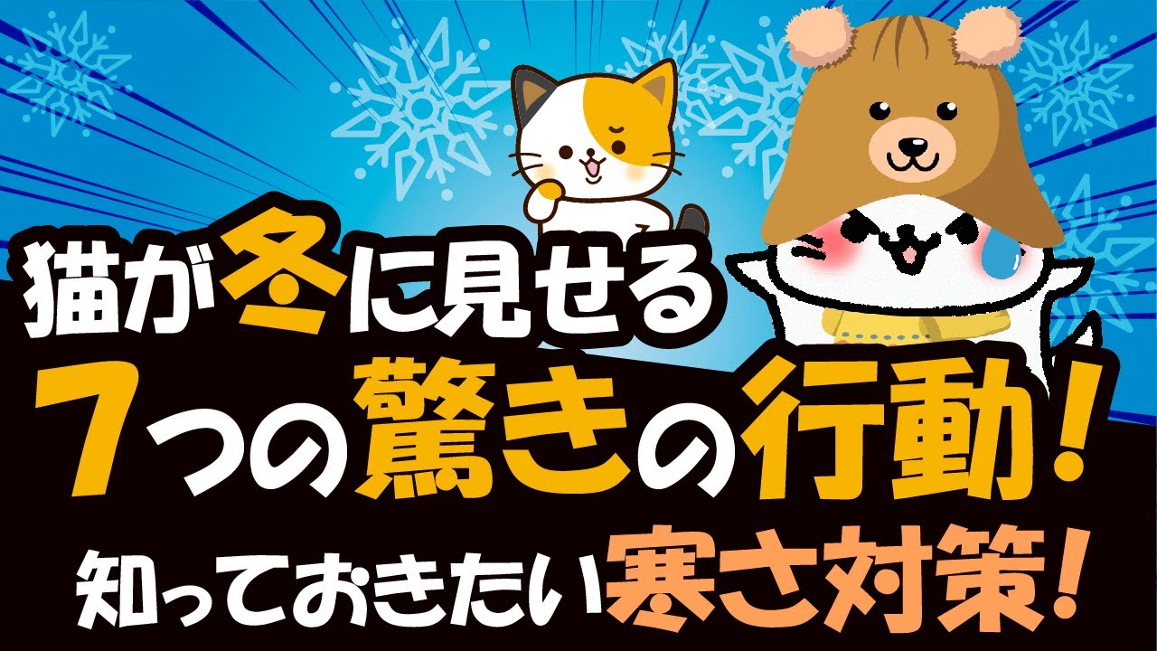 「冬が来ると猫の行動が変わる！寒い季節に見られる7つの行動と対策を徹底解説