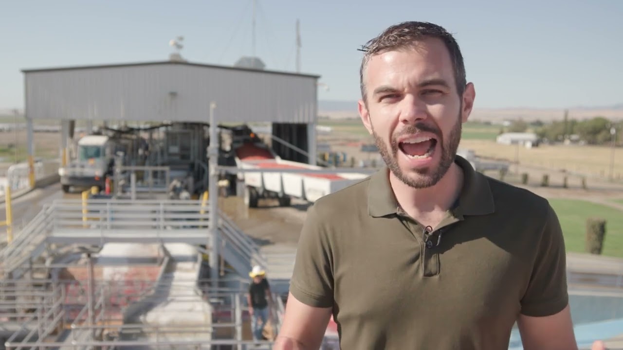 Morning Star 2022 Processing Tomato Season Update