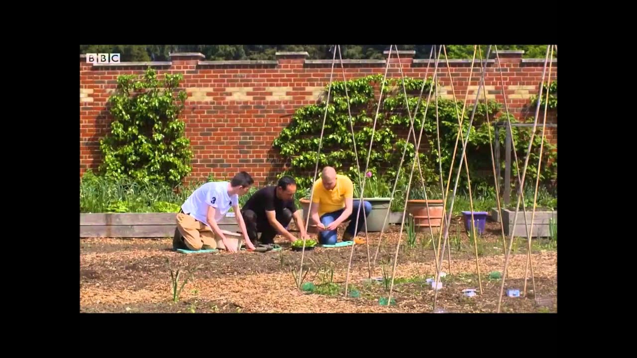 BBC Gardeners World at Bethlem Hospital