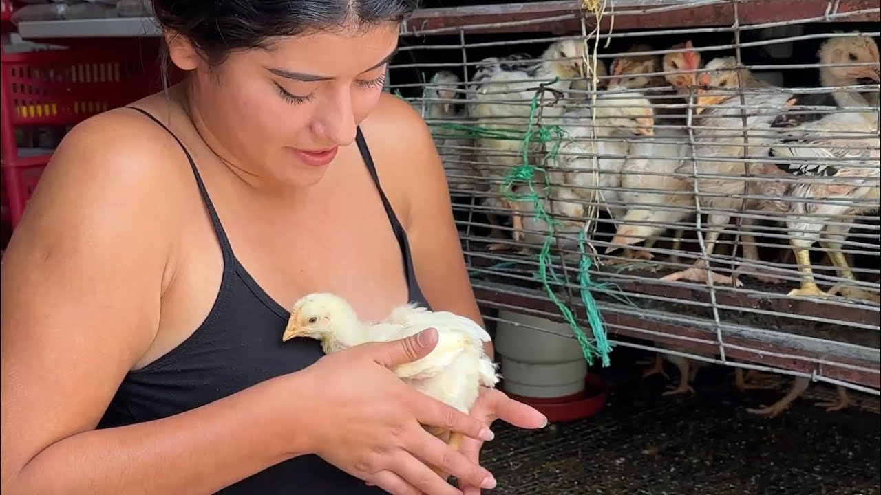 Todo esto Gasto en Comida para mis Animales de la Finca ~ Saida ZC ~ 💚