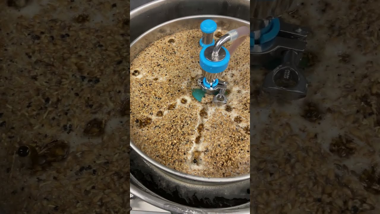 Варка темного осеннего эля — Brewtools B80 / F80