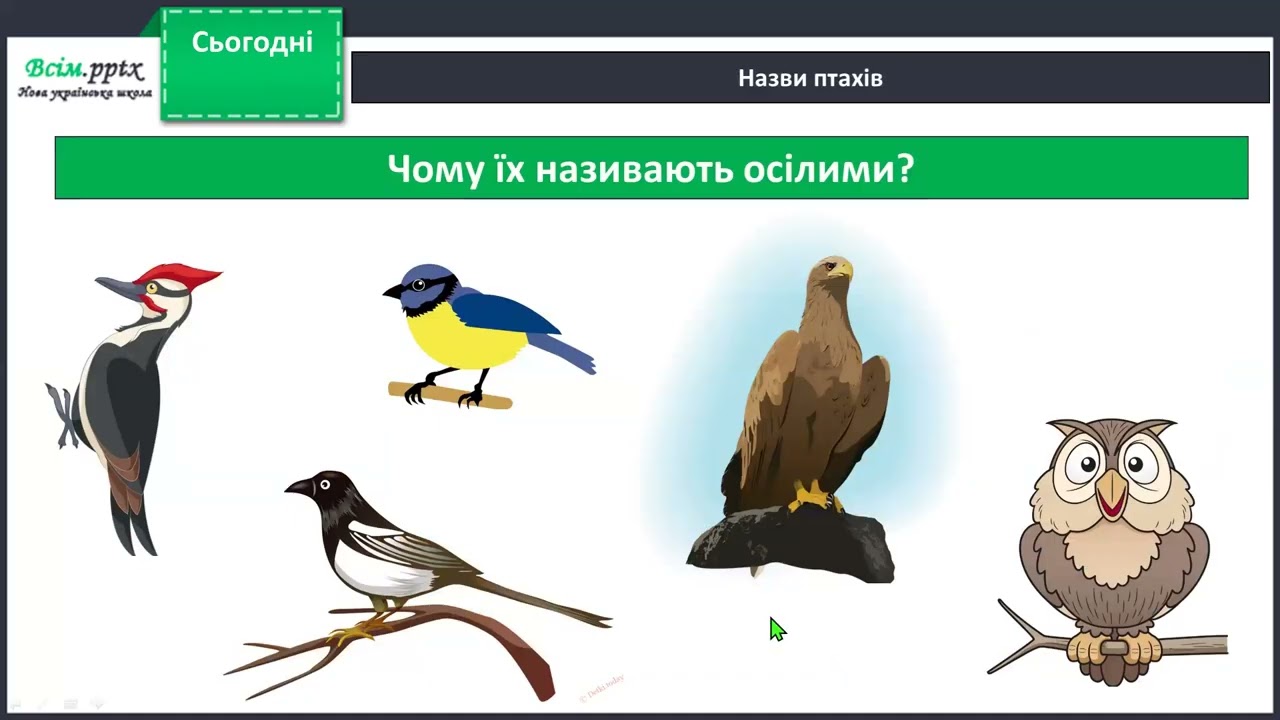 Застосовуємо знання щодня. Узагальнення і систематизація знань з теми «Тварини»