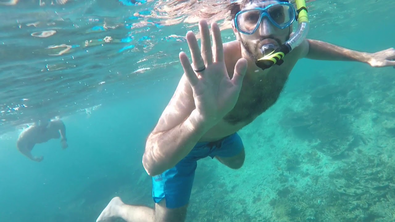 سنوركلينج جزيرة الديمانيات (عمان)  Daymaniyat island snorkeling Oman