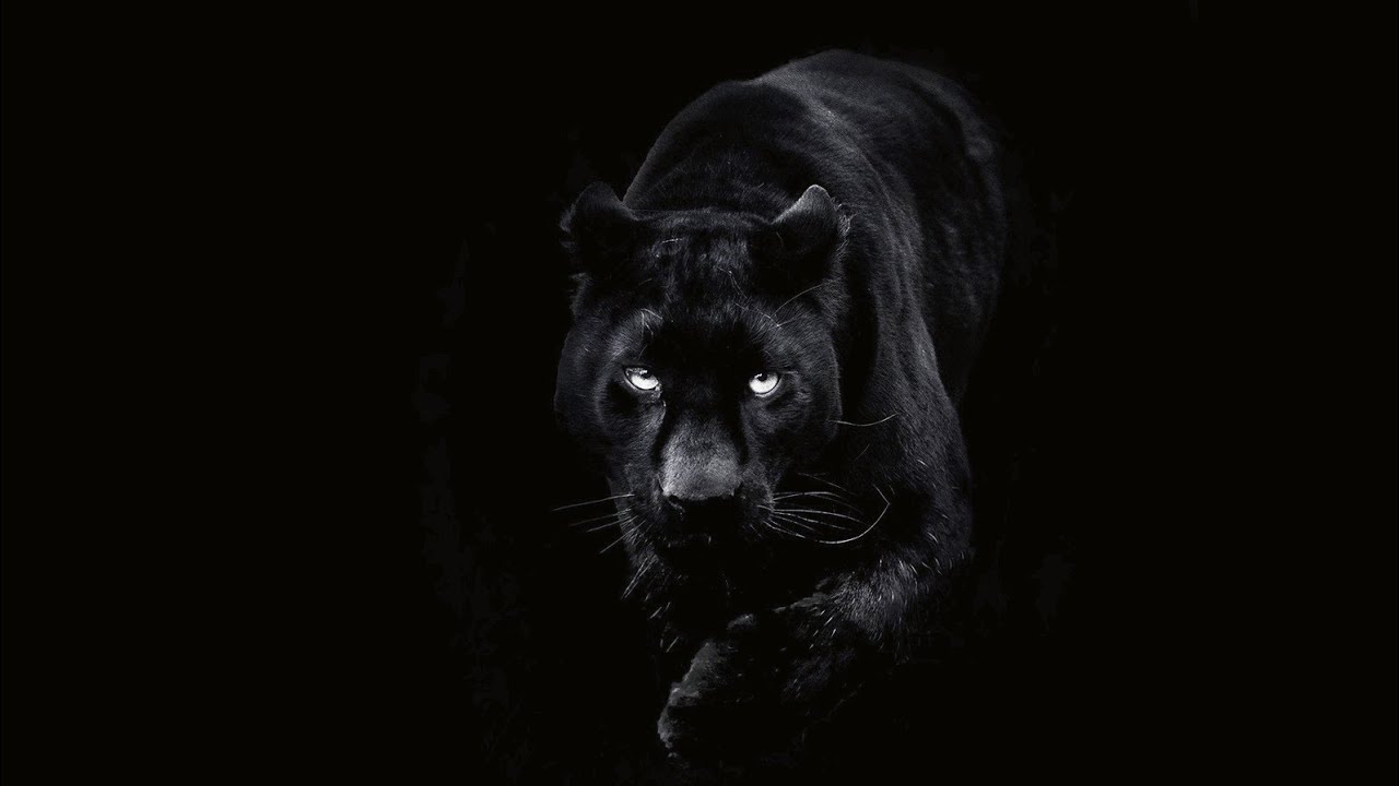 [Free] Night lovell type beat 