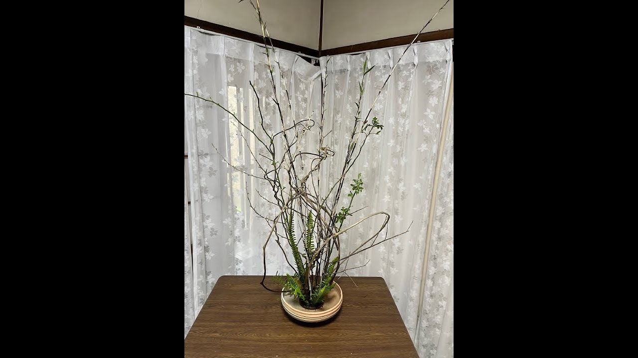 投稿896　０蘭Nature art