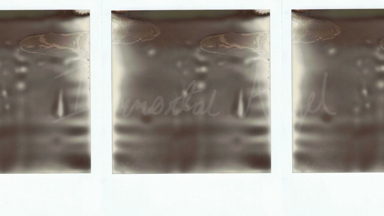 immortal angel