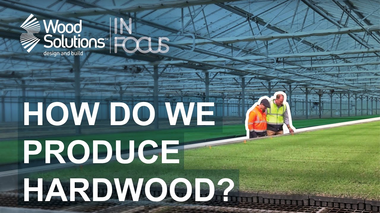 How Do We Produce Hardwood?