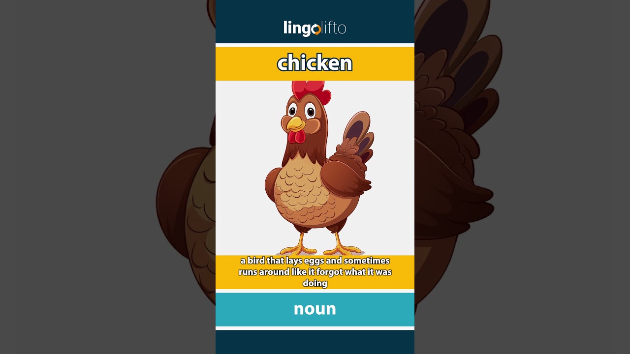 🇬🇧 Chicken Meaning : Flash Card : Learn English Vocabulary