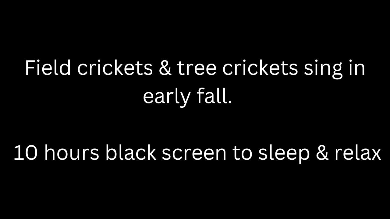 Field crickets & tree crickets sing early fall cricket sounds 10 hours black screen to sleep & relax