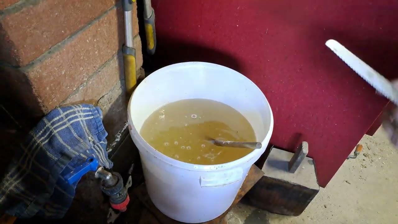 Albine  , sirop de stimulare  1 . 6 .03.2023